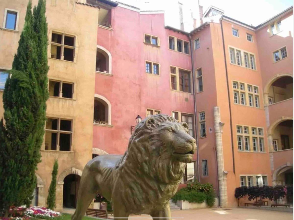 Appartement Beau Duplex Avec Jardin Et Vue à Lyon Extérieur photo